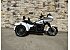2025 Harley-Davidson Trike