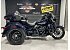 2025 Harley-Davidson Trike Tri Glide Ultra