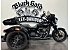 2025 Harley-Davidson Trike Freewheeler