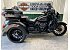 2025 Harley-Davidson Trike Tri Glide Ultra