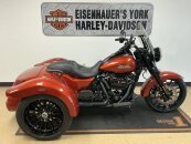 2025 Harley-Davidson Trike Freewheeler