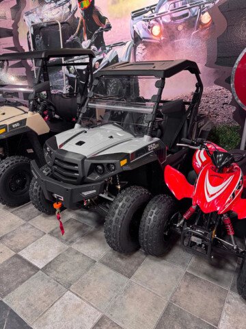 New 2025 Hisun Strike 250