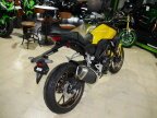 Thumbnail Photo 1 for New 2025 Honda CB300R ABS