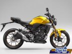 Thumbnail Photo 4 for New 2025 Honda CB300R ABS