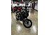 New 2025 Honda CB300R ABS