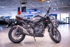 Thumbnail Photo 6 for New 2025 Honda CB300R ABS