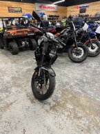 Thumbnail Photo 1 for New 2025 Honda CB300R