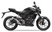 New 2025 Honda CB300R ABS