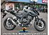 New 2025 Honda CB500F