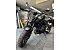 New 2025 Honda CB500F