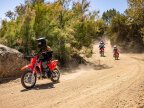 Thumbnail Photo 6 for New 2025 Honda CRF110F