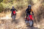 Thumbnail Photo 3 for New 2025 Honda CRF110F