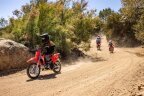 Thumbnail Photo 4 for New 2025 Honda CRF110F