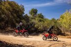 Thumbnail Photo 6 for New 2025 Honda CRF110F