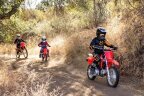 Thumbnail Photo 2 for New 2025 Honda CRF110F