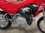 Thumbnail Photo 2 for New 2025 Honda CRF110F