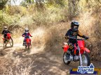 Thumbnail Photo 6 for New 2025 Honda CRF110F
