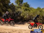 Thumbnail Photo 5 for New 2025 Honda CRF110F