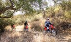 Thumbnail Photo 6 for New 2025 Honda CRF125F