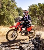 Thumbnail Photo 3 for New 2025 Honda CRF125F