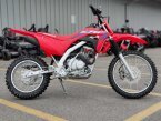 Thumbnail Photo 1 for New 2025 Honda CRF125F