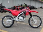 Thumbnail Photo 1 for New 2025 Honda CRF125F Big Wheel