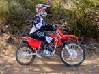 Thumbnail Photo 4 for New 2025 Honda CRF125F Big Wheel