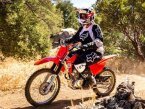 Thumbnail Photo 5 for New 2025 Honda CRF125F Big Wheel