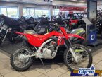 Thumbnail Photo 3 for New 2025 Honda CRF125F Big Wheel