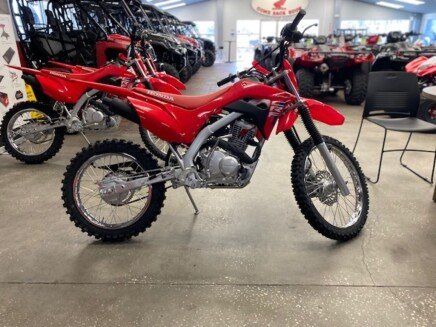 Photo 1 for New 2025 Honda CRF125F Big Wheel
