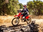 Thumbnail Photo 3 for New 2025 Honda CRF125F