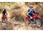 Thumbnail Photo 4 for New 2025 Honda CRF125F