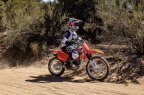 Thumbnail Photo 4 for New 2025 Honda CRF125F Big Wheel