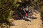 Thumbnail Photo 5 for New 2025 Honda CRF125F Big Wheel