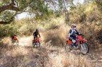 Thumbnail Photo 3 for New 2025 Honda CRF125F Big Wheel