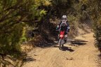 Thumbnail Photo 5 for New 2025 Honda CRF125F