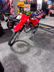 New 2025 Honda CRF125F