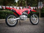 Thumbnail Photo 3 for New 2025 Honda CRF250F