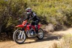 Thumbnail Photo 4 for New 2025 Honda CRF250F