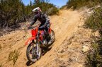Thumbnail Photo 3 for New 2025 Honda CRF250F