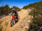 Thumbnail Photo 6 for New 2025 Honda CRF250F
