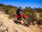 Thumbnail Photo 5 for New 2025 Honda CRF250F