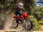 Thumbnail Photo 6 for New 2025 Honda CRF250F