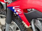 Thumbnail Photo 6 for New 2025 Honda CRF250F