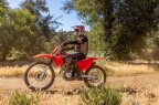 Thumbnail Photo 4 for New 2025 Honda CRF250F