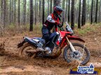 Thumbnail Photo 5 for New 2025 Honda CRF300L Rally ABS
