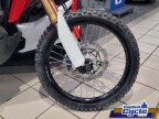 Thumbnail Photo 1 for New 2025 Honda CRF300L Rally ABS