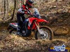 Thumbnail Photo 4 for New 2025 Honda CRF300L Rally ABS