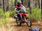 Thumbnail Photo 6 for New 2025 Honda CRF300L Rally ABS