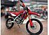 New 2025 Honda CRF300L ABS